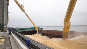 Турция обсудит продление зерновой сделки на год 